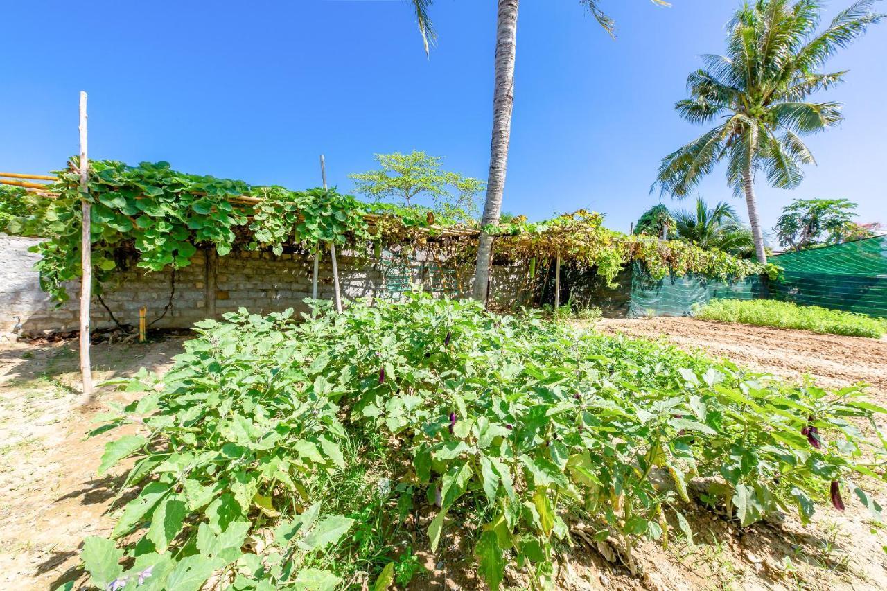 Oyo 426 Klaus Resort Nha Trang Eksteriør bilde