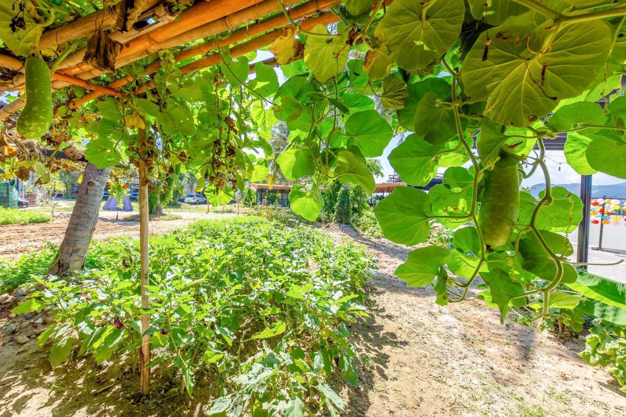 Oyo 426 Klaus Resort Nha Trang Eksteriør bilde